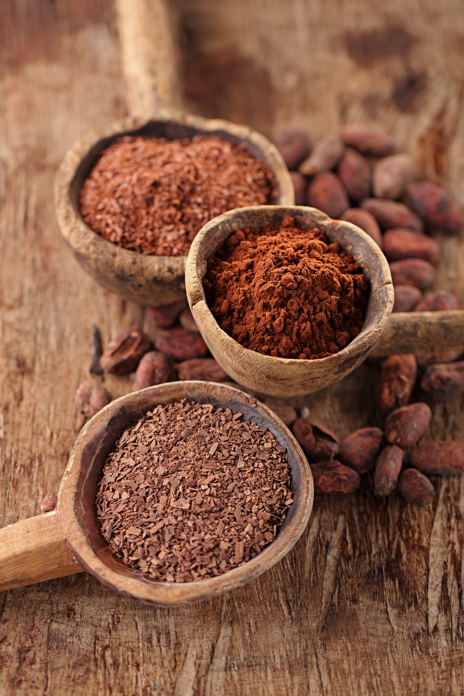 Raw cocoa powder, chocolate shavings, and whole cocoa beans in earthy wooden bowls — the simple, pure ingredients behind every Fijn blend.